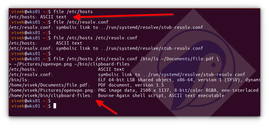 File type identification in Linux terminal