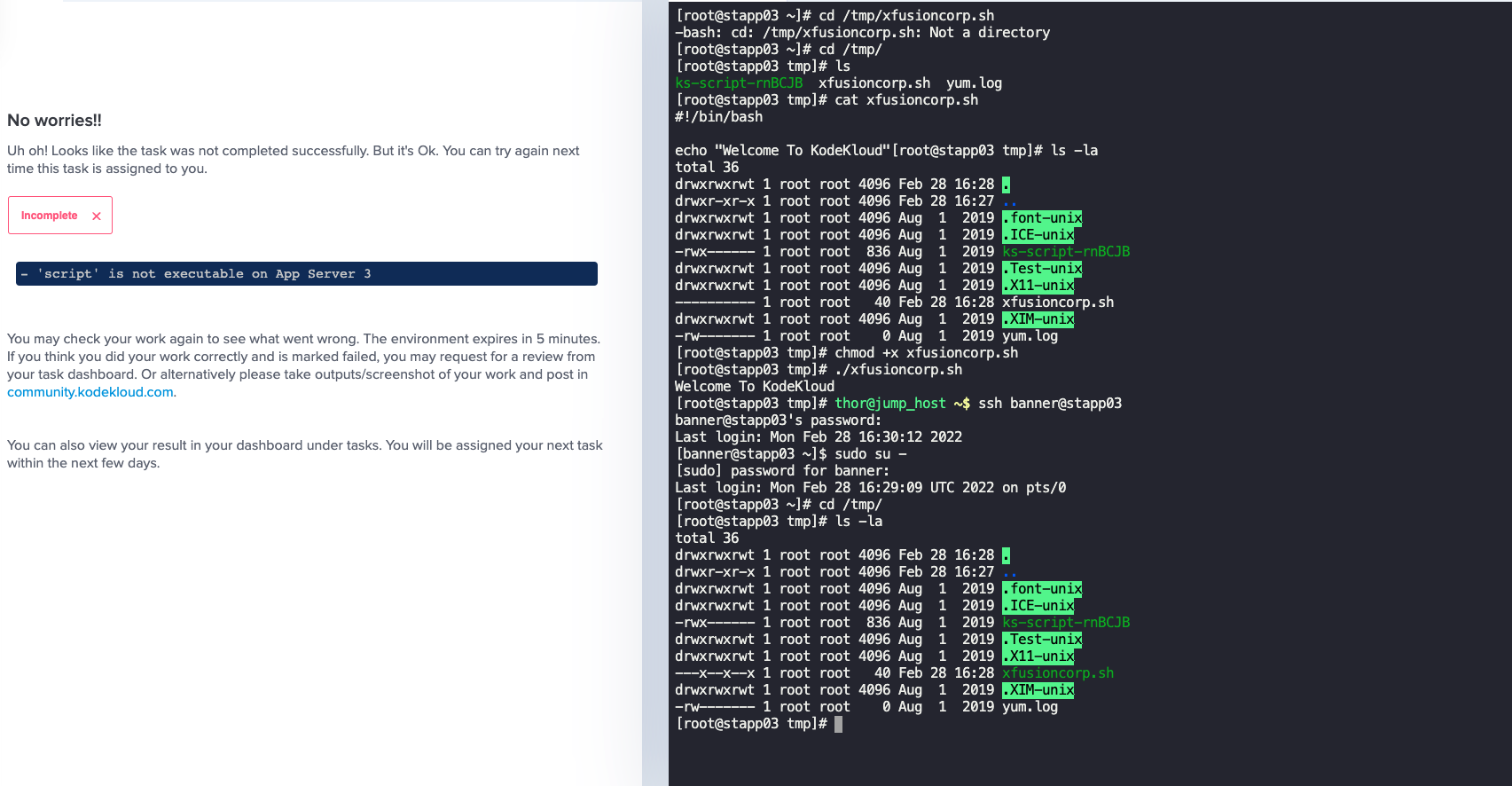 Linux user permissions