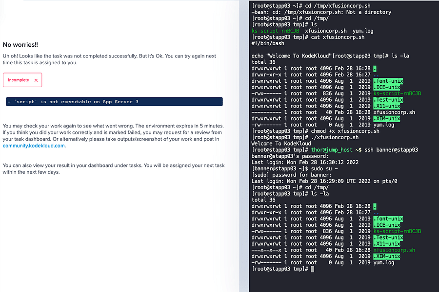 Linux user permissions