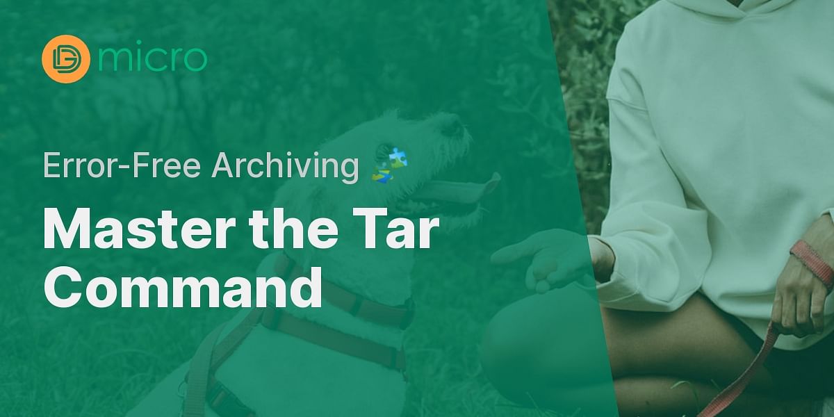 Identifying Errors in Tar Command Samples - DG Micro