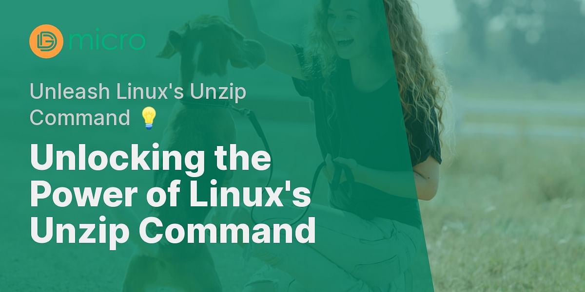 mastering-the-unzip-command-in-linux-dg-micro